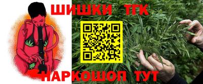 спиды Аргун