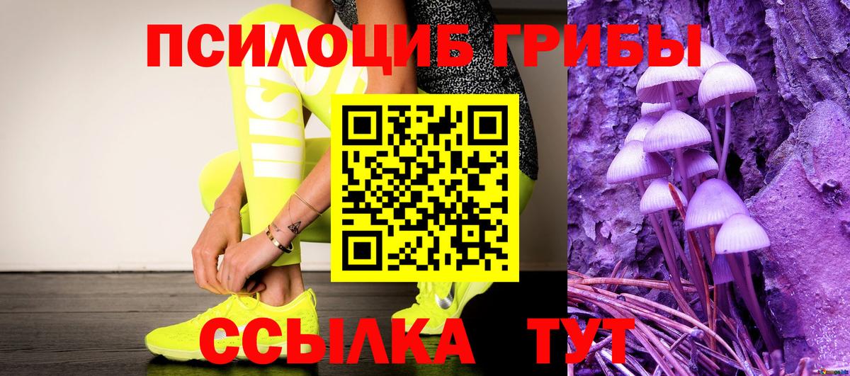 Псилоцибиновые грибы Cubensis  Вход с VPN  Выкса  Галлюциногенные грибы Psilocybe 
