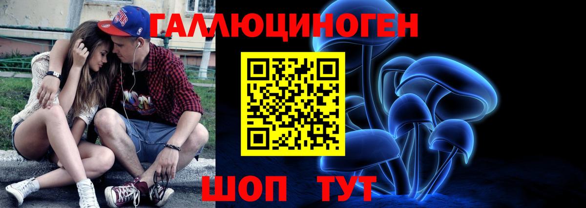 Галлюциногенные грибы Psilocybe Выкса